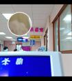 308和311能一起治疗白癜风吗
