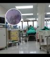 308激光治疗白癜风小孩可以用吗